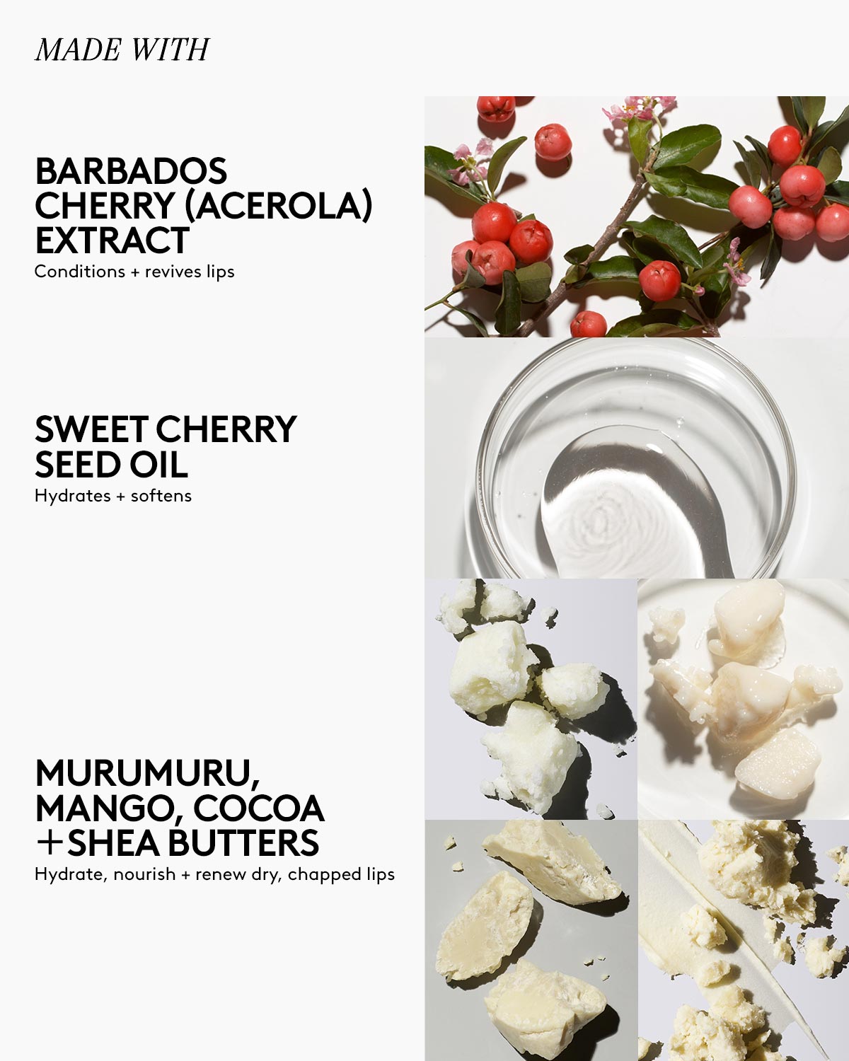 Barbados Cherry Hydrating Lip Balm Trio - Lux Balm for Soft Lips